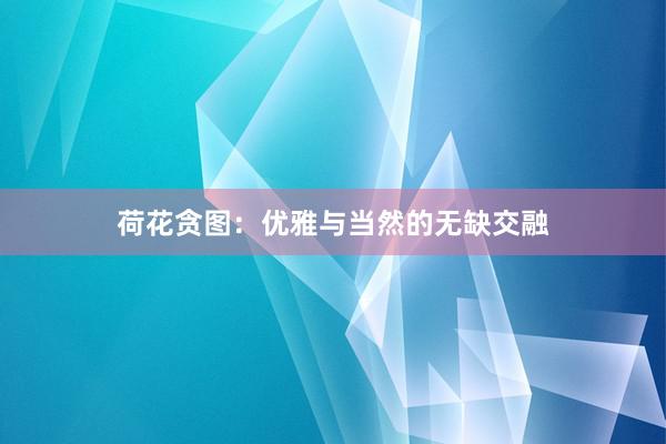 荷花贪图：优雅与当然的无缺交融
